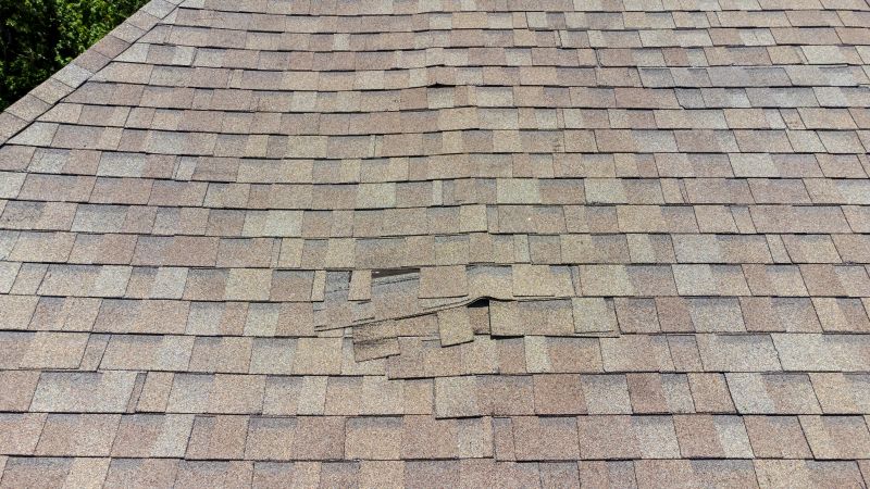 Comprehensive Roof Inspection